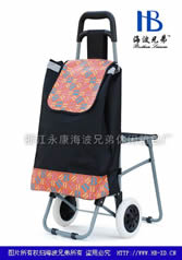 普通带座椅购物车XDZ02-2F-09