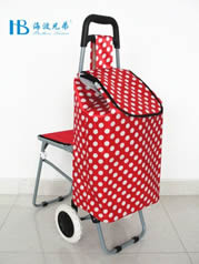 Ordinary shopping cart with seatXDZ02-2F-19