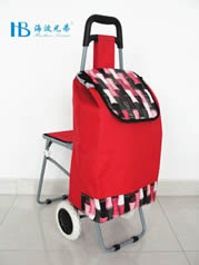 Ordinary shopping cart with seatXDZ02-2F-20