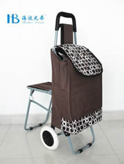 Ordinary shopping cart with seatXDZ02-2F-22