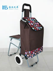 Ordinary shopping cart with seatXDZ02-2F-24