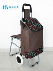 Ordinary shopping cart with seatXDZ02-2F-25
