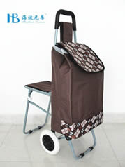 Ordinary shopping cart with seatXDZ02-2F-27