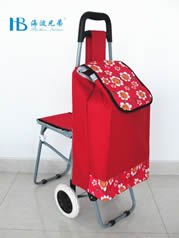 Ordinary shopping cart with seatXDZ02-2F-28