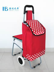Ordinary shopping cart with seatXDZ02-2F-29