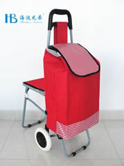 Ordinary shopping cart with seatXDZ02-2F-30