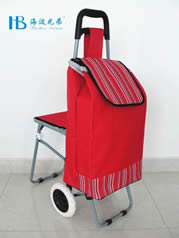 Ordinary shopping cart with seatXDZ02-2F-32