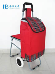 Ordinary shopping cart with seatXDZ02-2F-33