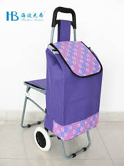 Ordinary shopping cart with seatXDZ02-2F-35