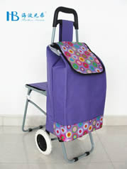 Ordinary shopping cart with seatXDZ02-2F-36
