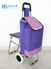 Ordinary shopping cart with seatXDZ02-2F-38