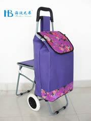 Ordinary shopping cart with seatXDZ02-2F-39