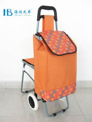Ordinary shopping cart with seatXDZ02-2F-40