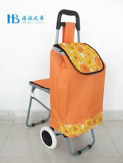 Ordinary shopping cart with seatXDZ02-2F-41