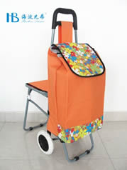 Ordinary shopping cart with seatXDZ02-2F-43