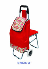 Ordinary shopping cart with seatXDZ02-2F-50