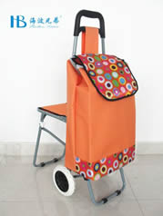 Ordinary shopping cart with seatXDZ02-2F-44