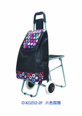 Ordinary shopping cart with seatXDZ02-2F-55