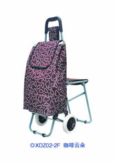 Ordinary shopping cart with seatXDZ02-2F-56