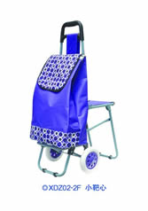 Ordinary shopping cart with seatXDZ02-2F-57