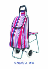 Ordinary shopping cart with seatXDZ02-2F-58