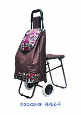 Ordinary shopping cart with seatXDZ02-2F-47