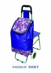 Ordinary shopping cart with seatXDZ02-2F-49