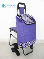 Stairs shopping cart with seatXDZ02-3X-24