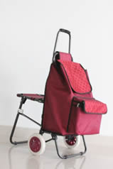 Folding shopping cart with seatXDZ03-2F-05
