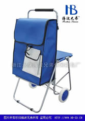 Folding shopping cart with seatXDZ03-2F-19